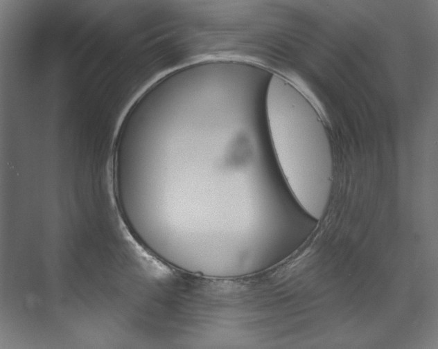 X0000074281100200608250929