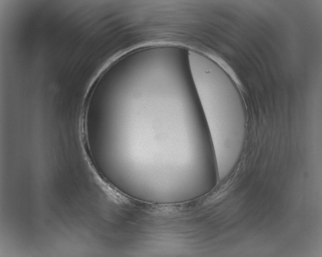 X0000074281101200608250929
