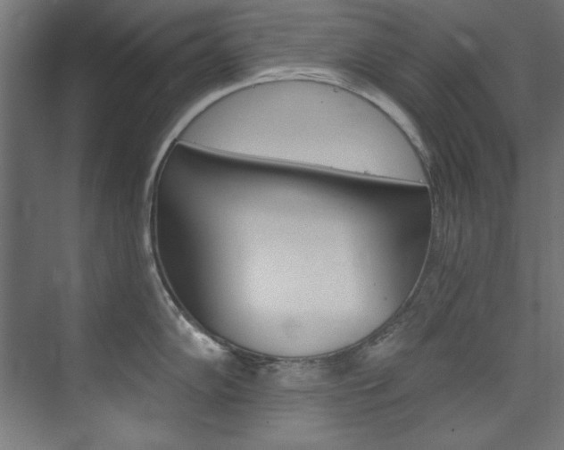 X0000074281102200608250929
