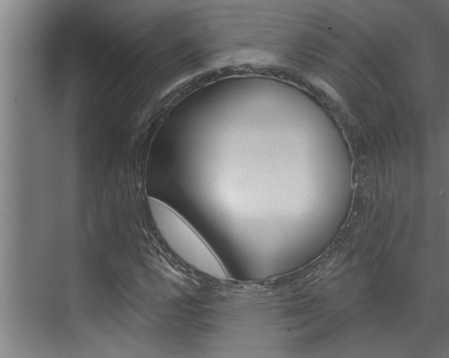 X0000074281112200608250929