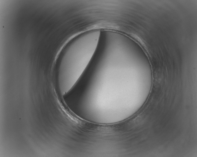 X0000074281123200608250929