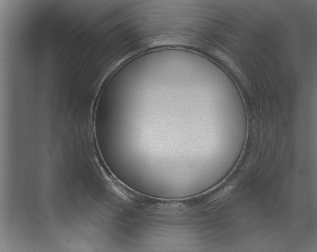 X0000074281129200608250929