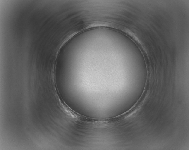 X0000074281137200608250929