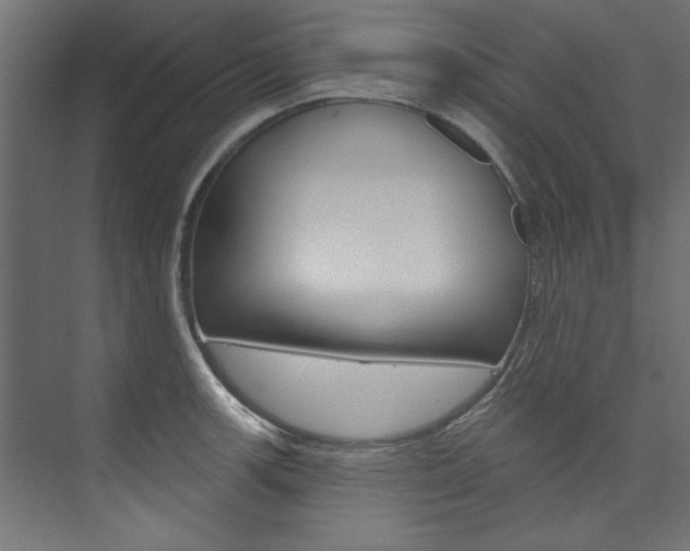 X0000074281139200608250929