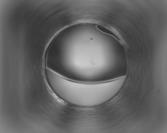 X0000074281140200608250929
