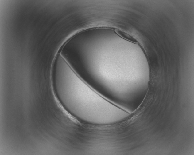 X0000074281142200608250929