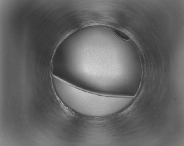 X0000074281145200608250929