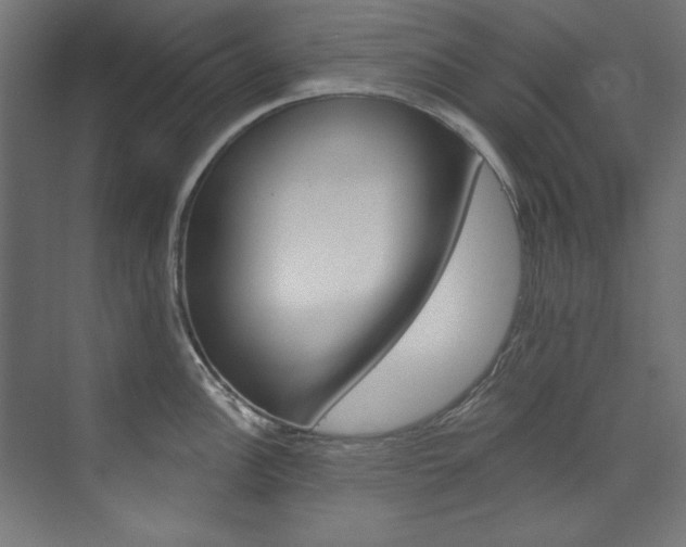 X0000074281148200608250929