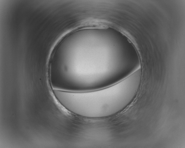 X0000074281152200608250929