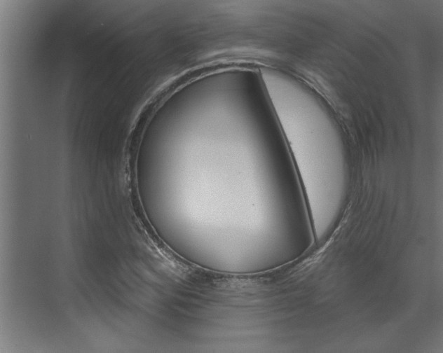 X0000074281164200608250928