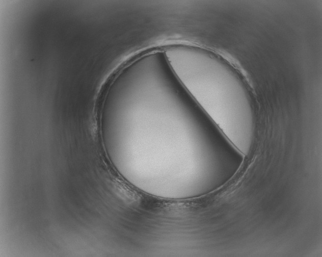X0000074281167200608250928