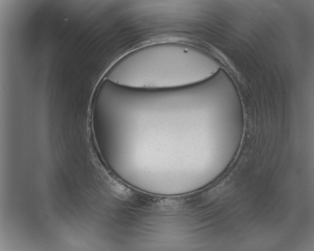 X0000074281178200608250928