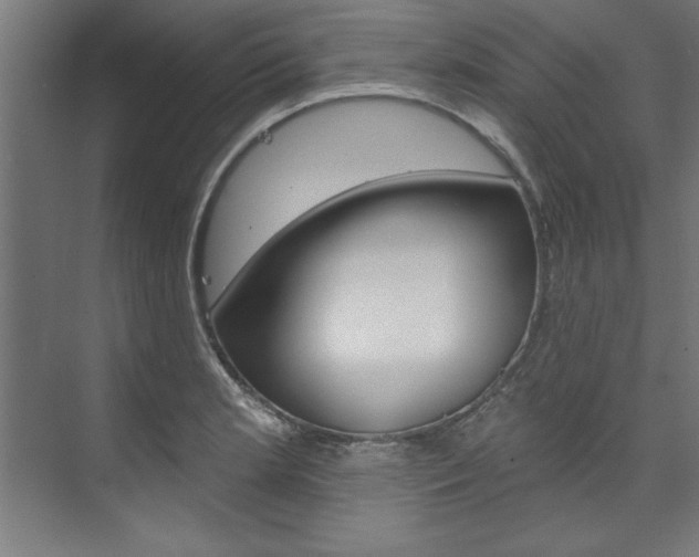 X0000074281181200608250928