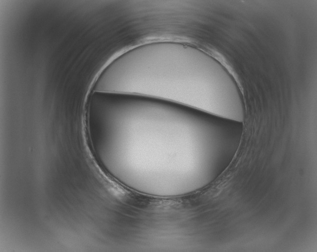 X0000074281187200608250928