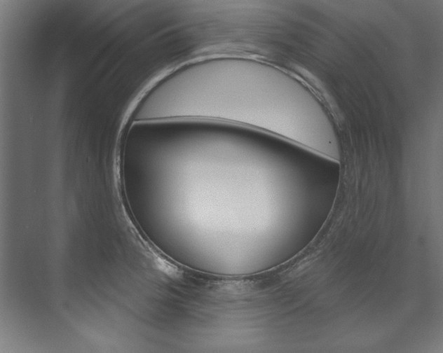 X0000074281188200608250928
