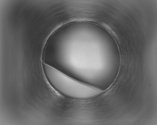 X0000074281189200608250928