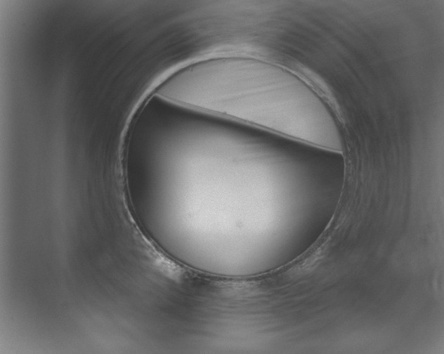 X0000074281192200608250928