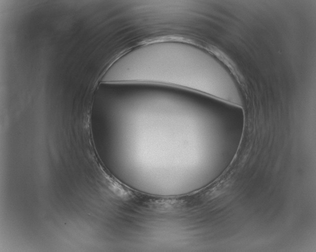 X0000074281193200608250928