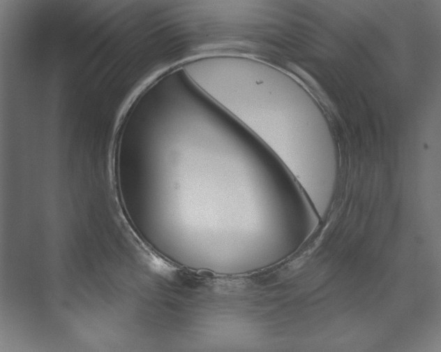 X0000074281196200608250928
