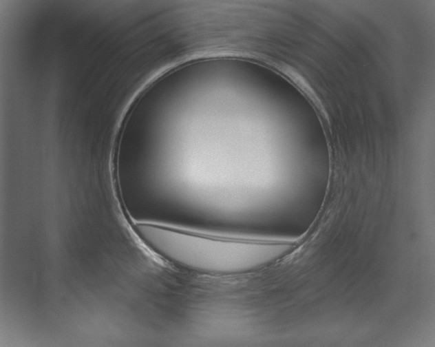X0000074281197200608250928