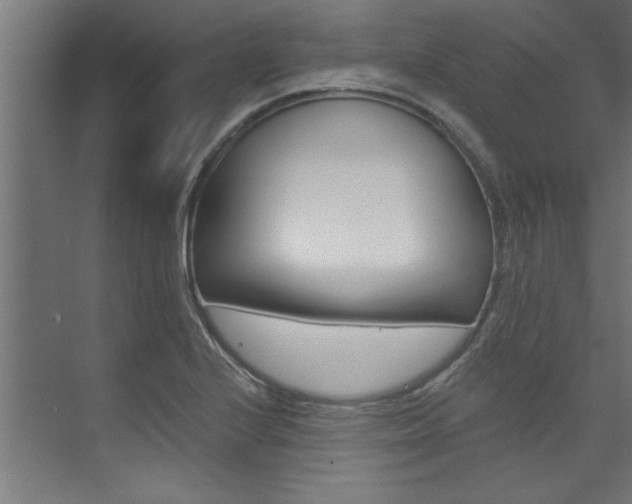 X0000074281224200608250927