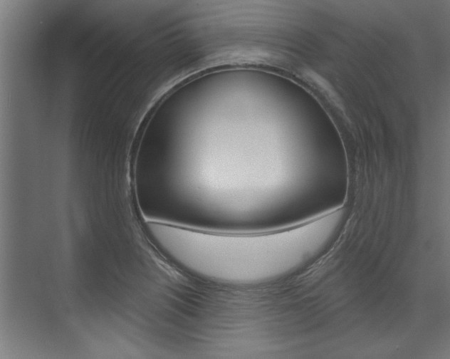 X0000074281226200608250927