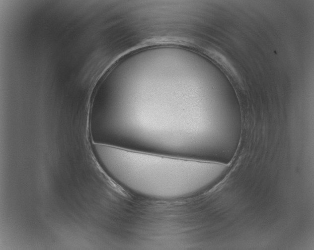X0000074281228200608250927