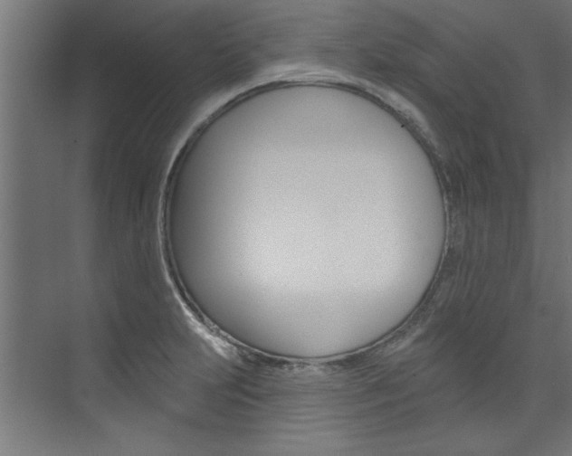 X0000074281231200608250927