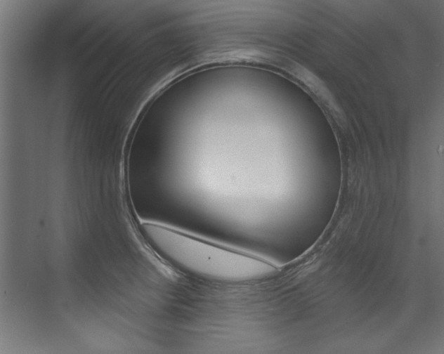 X0000074281234200608250927