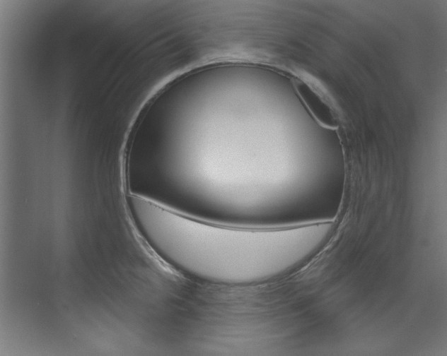 X0000074281238200608250927