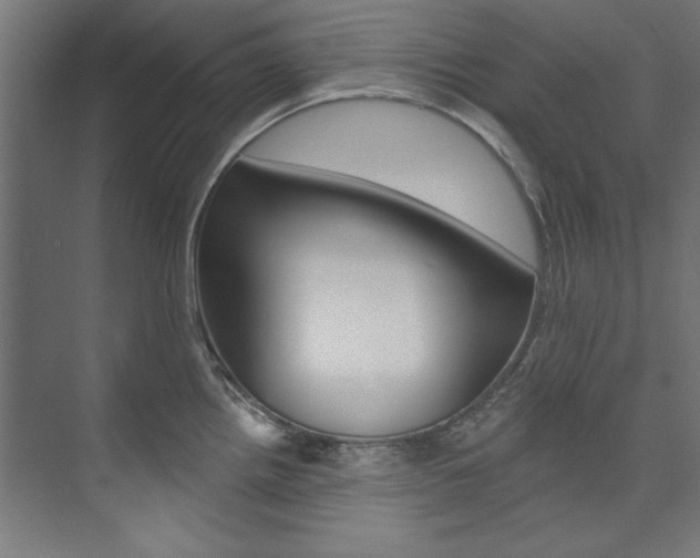 X0000074281242200608250928