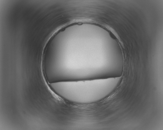 X0000074281245200608250928