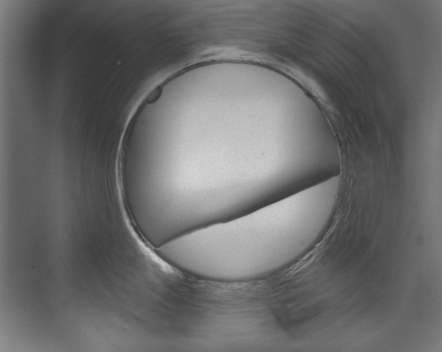 X0000074281247200608250928