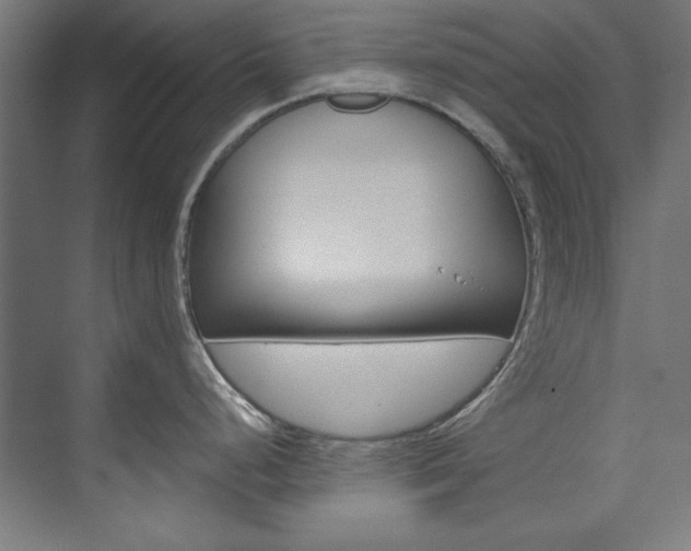 X0000074281248200608250928