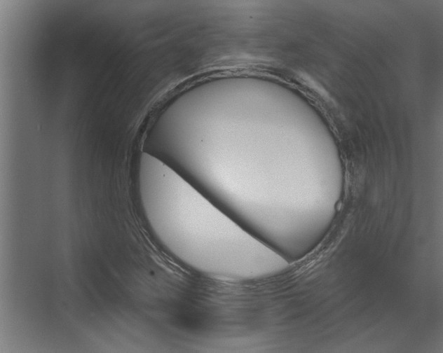 X0000074281259200608250927