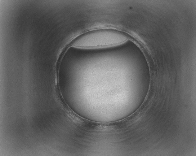 X0000074281269200608250927
