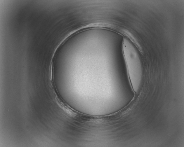 X0000074281276200608250926