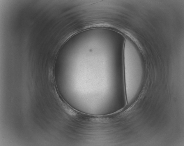 X0000074281281200608250926