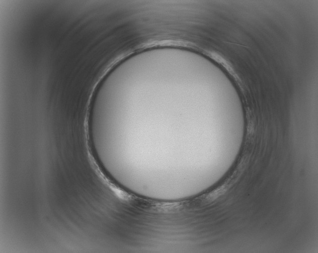 X0000074281282200608250926