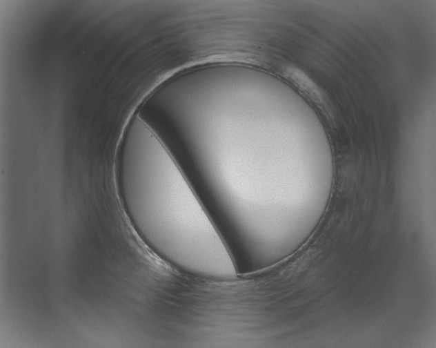 X0000074281284200608250926