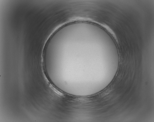 X0000074281287200608250926