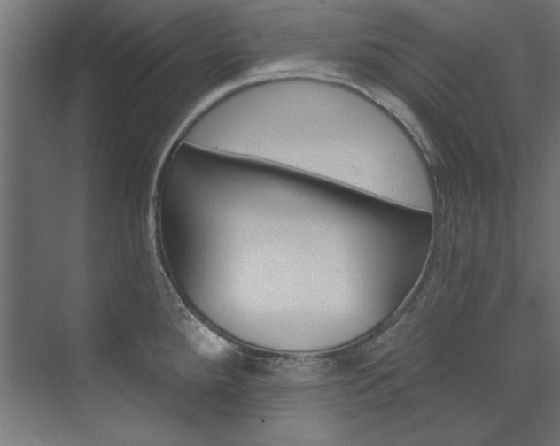 X0000074281288200608250926