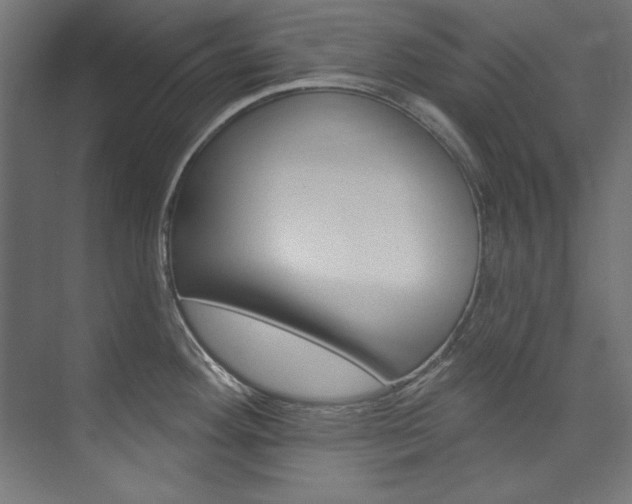 X0000074281292200608250926