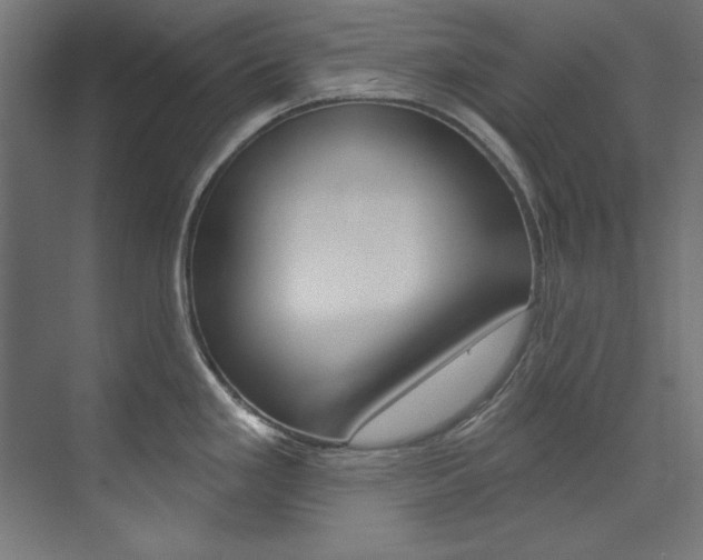 X0000074281293200608250926