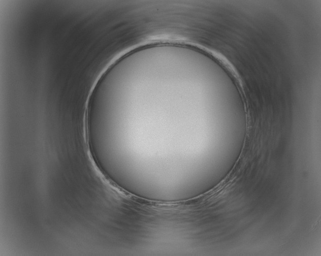 X0000074281295200608250926