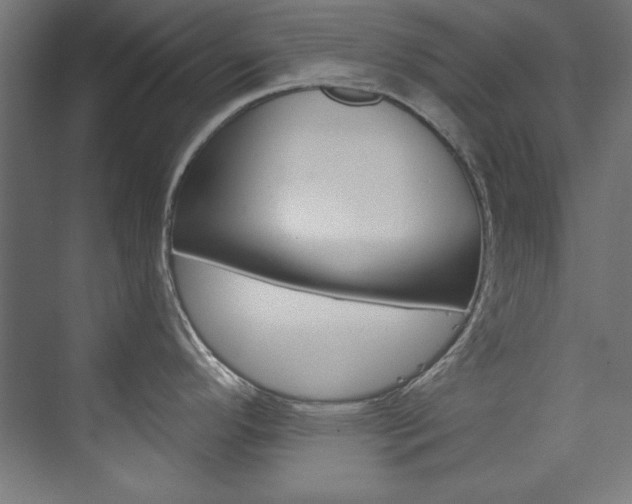 X0000074281296200608250926