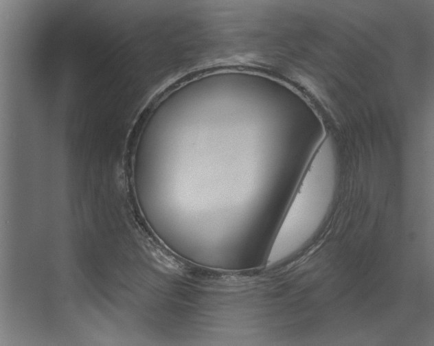 X0000074281308200608250925