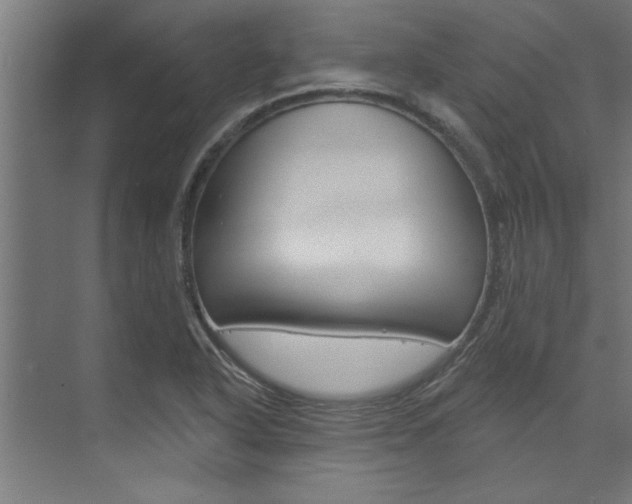 X0000074281318200608250926
