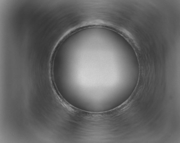X0000074281326200608250926