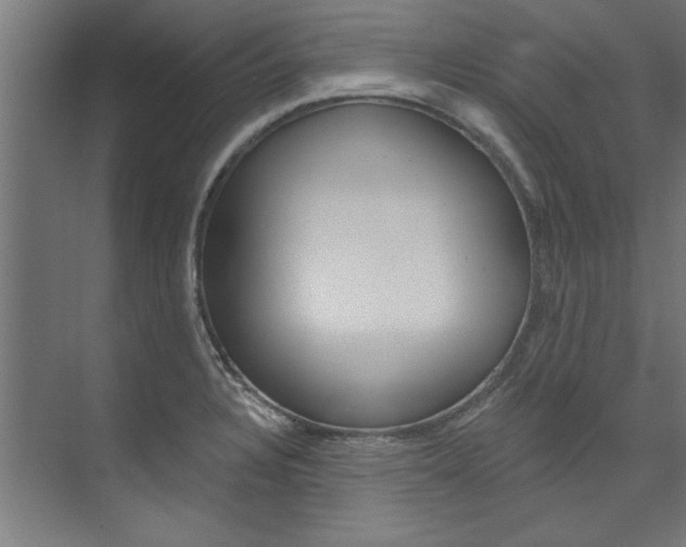 X0000074281328200608250926